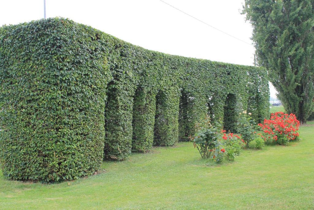 Villa Belvedere 1849 Misano di Gera dʼAdda Zewnętrze zdjęcie